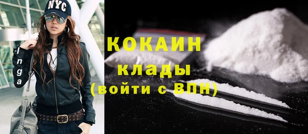 индика Медвежьегорск