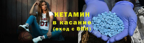 индика Медвежьегорск