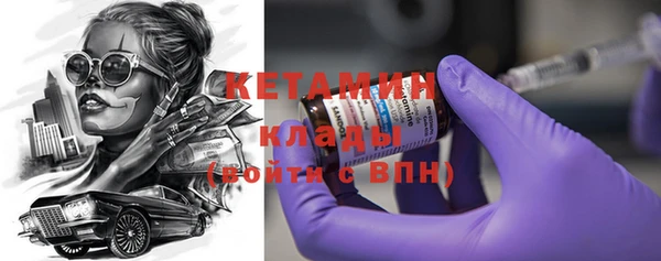 индика Медвежьегорск