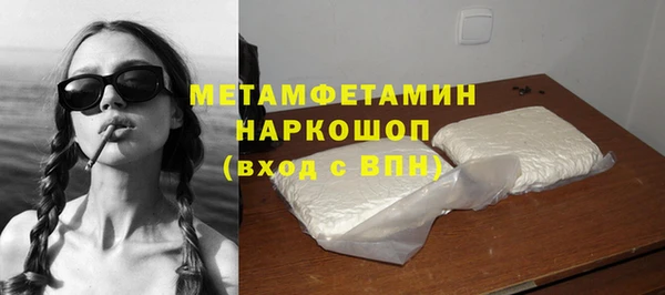 индика Медвежьегорск