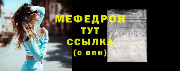 индика Медвежьегорск