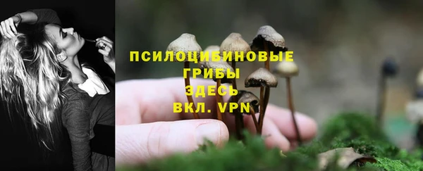 прущий лед Медногорск