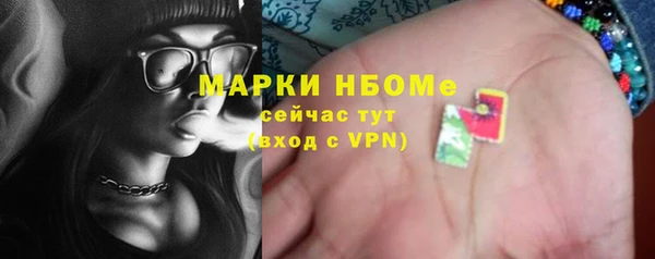 индика Медвежьегорск