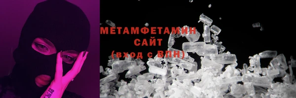 индика Медвежьегорск