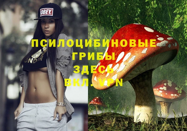 прущий лед Медногорск