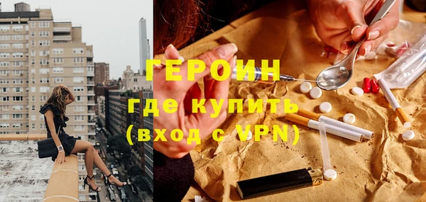 индика Медвежьегорск