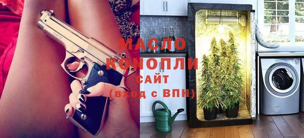 индика Медвежьегорск