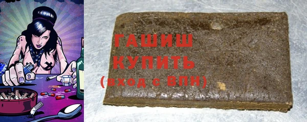 индика Медвежьегорск