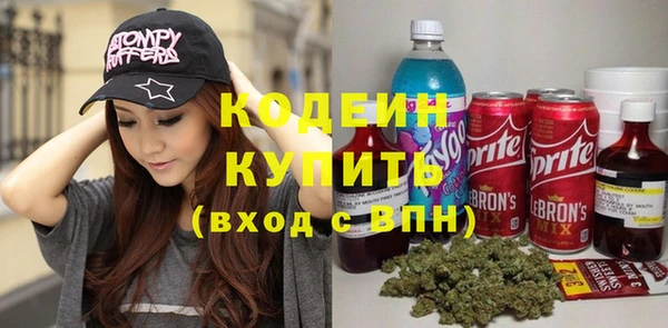индика Медвежьегорск