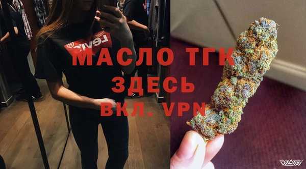 индика Медвежьегорск