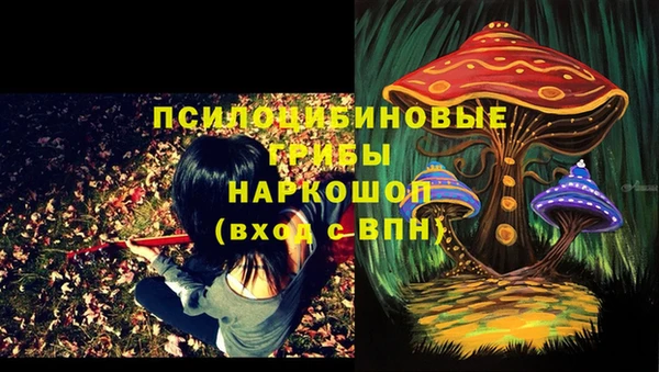 индика Медвежьегорск