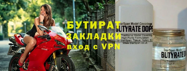 индика Медвежьегорск
