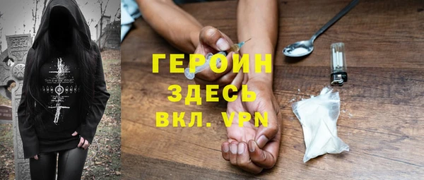 индика Медвежьегорск