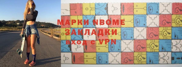индика Медвежьегорск