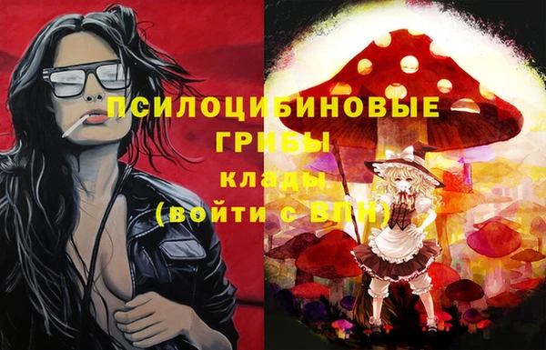 спайс Мегион