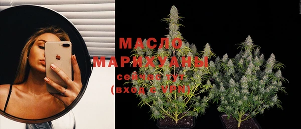 индика Медвежьегорск