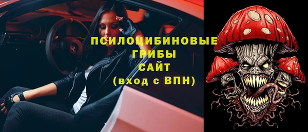 спайс Мегион