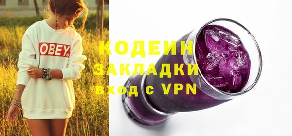 индика Медвежьегорск