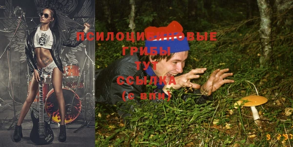 прущий лед Медногорск