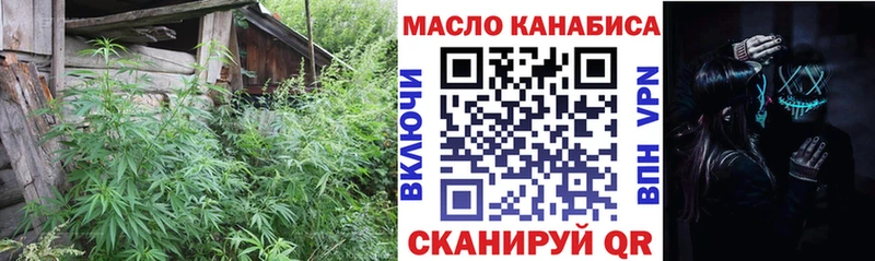 ТГК концентрат Зверево